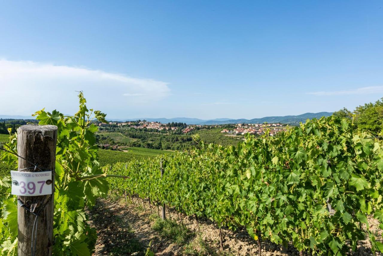 Tenuta Poggio Ai Mandorli グレーヴェ・イン・キアンティ エクステリア 写真